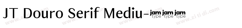 JT Douro Serif Mediu字体转换